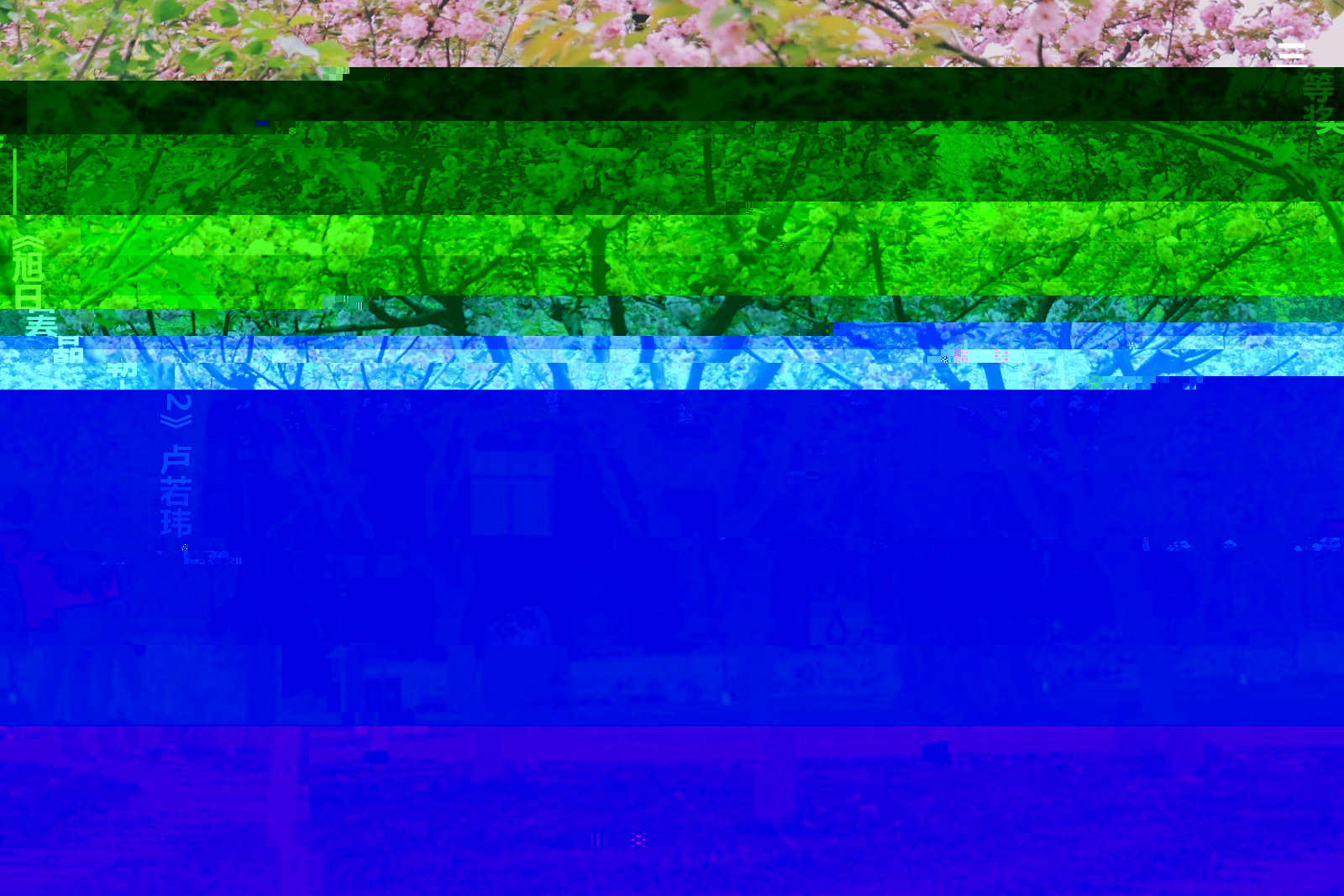 1492750869723407.jpg