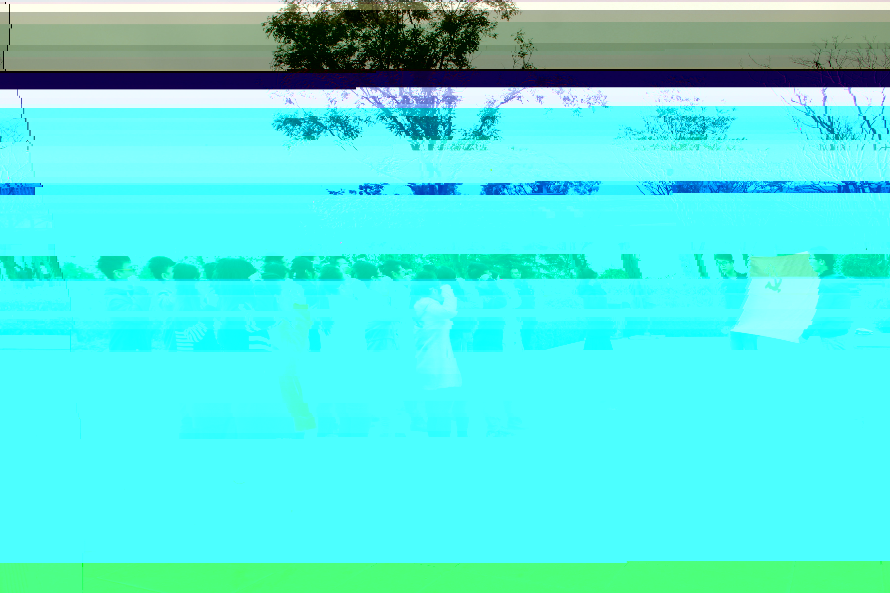 1477989088828634.jpg 1477989088828634.jpg